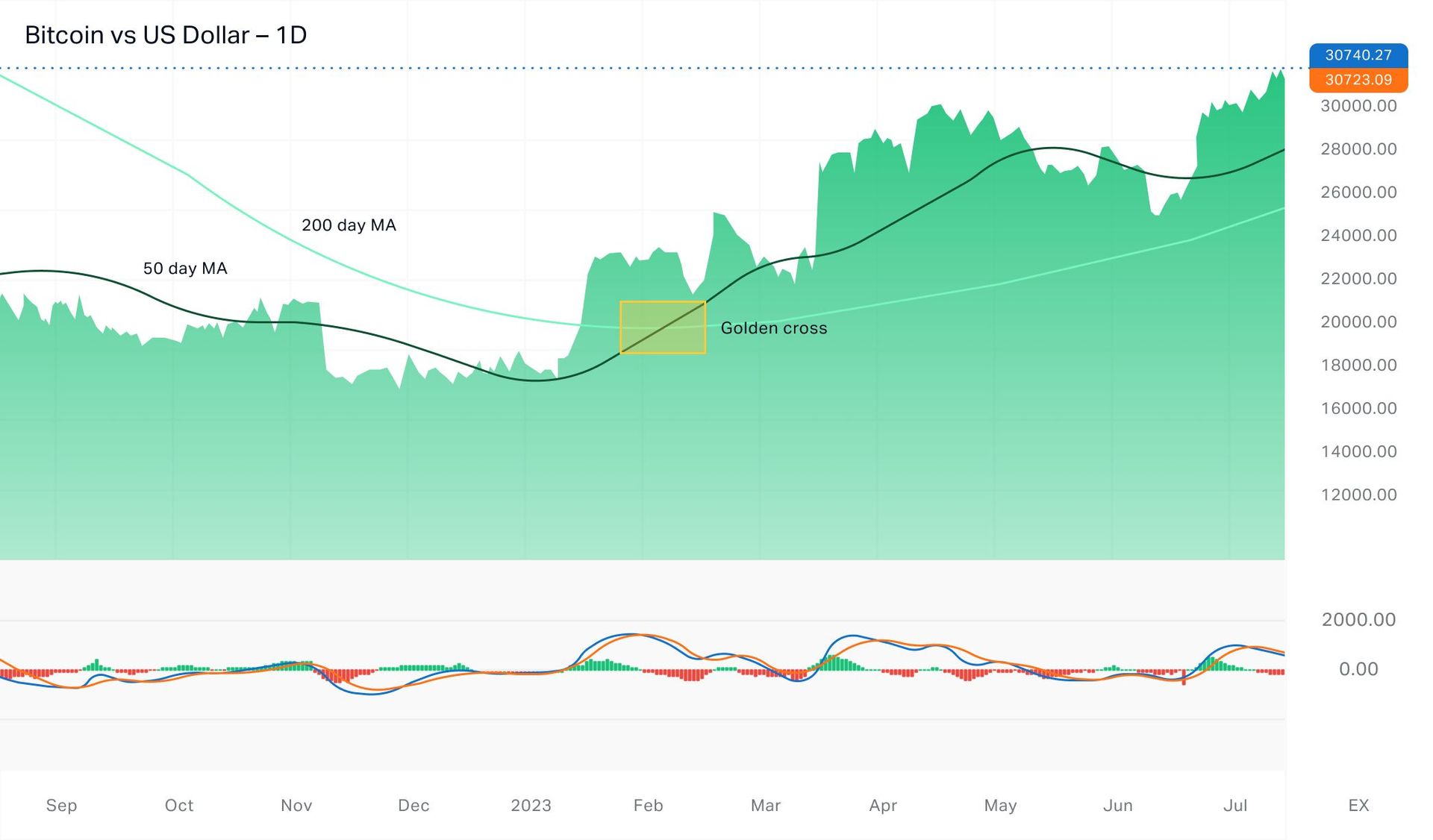 Long-term chart with 50-day SMA shows a clear golden cross but bearish divergence from MACD.